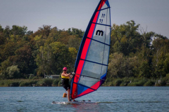 SFR-2018-29