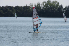SFR-2018-49