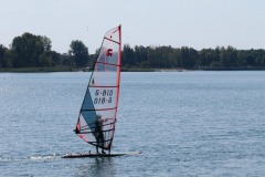 SFR19-10