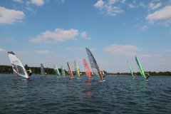 SFR19-39