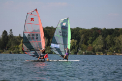 SFR19-46